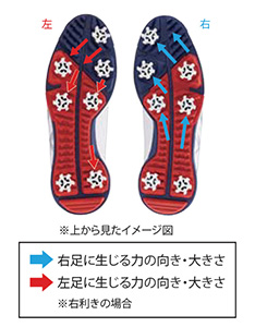 上から見たイメージ図