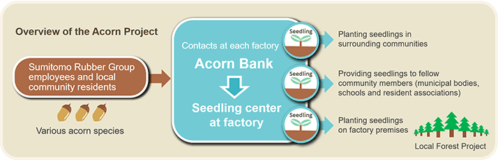 Acorn Project