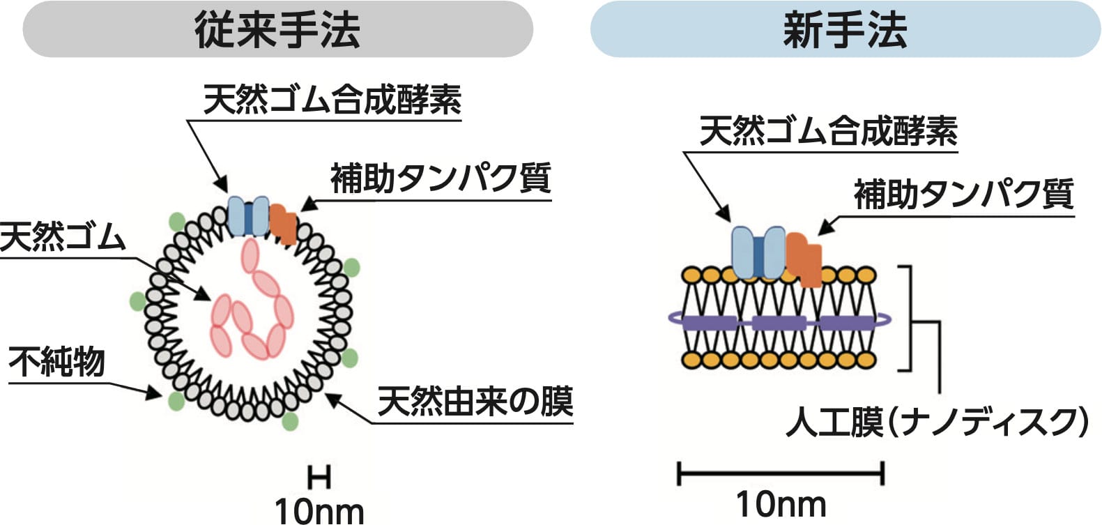 酵素評価方法の発明