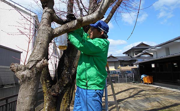 近隣幼稚園等に蜂誘因気器を設置（白河工場）
